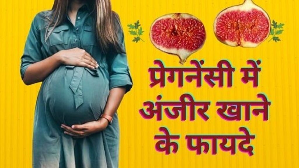 प्रेगनेंसी में अंजीर खाने के फायदे | Pregnancy me anjir khane ke fayde