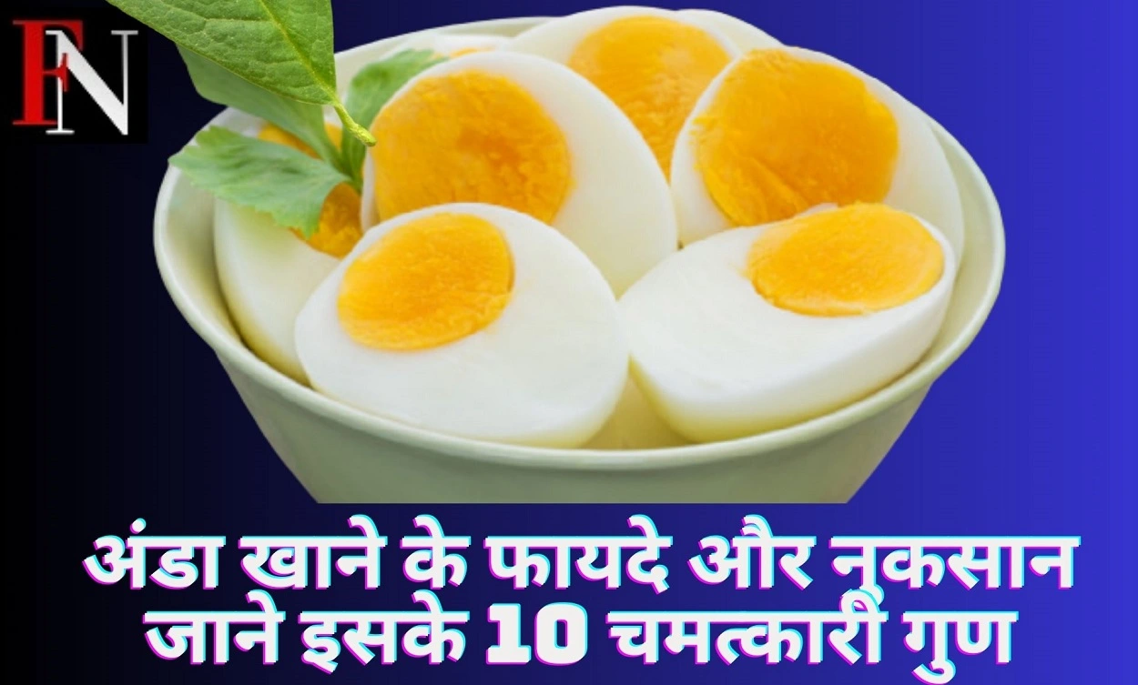 अंडा खाने के फायदे और नुकसान