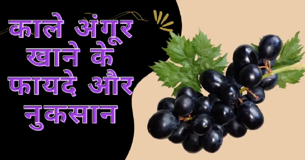 Black grapes benefits and side effects in Hindi