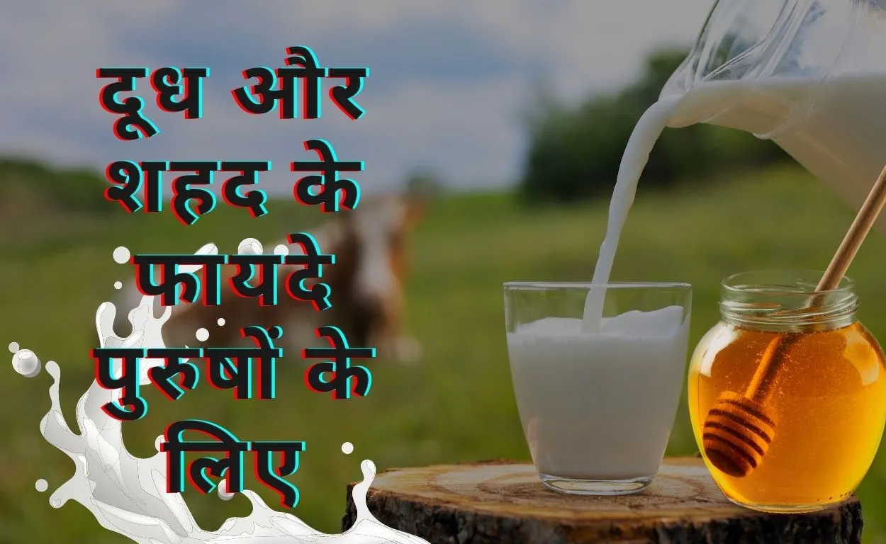 दूध और शहद के फायदे पुरुषों के लिए हिंदी में विस्तार से