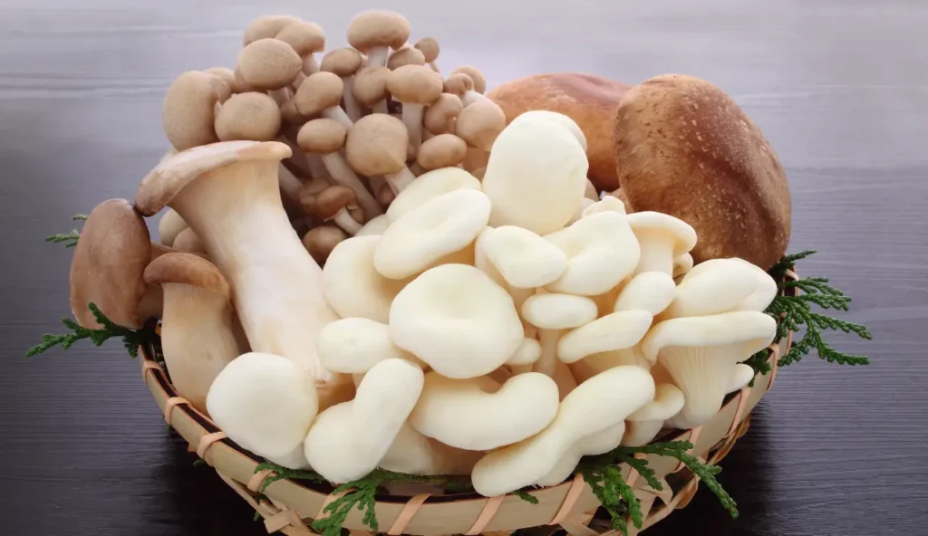 Mushroom khane ke fayde: मशरूम खाने के फायदे और नुकसान